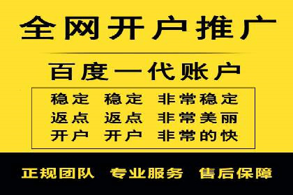 SEM服务公司成功案例解读